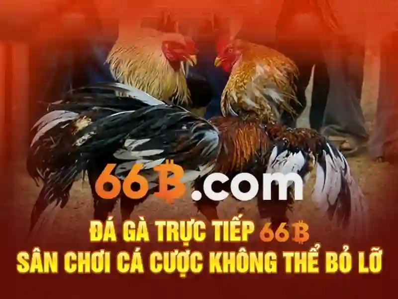 66b nss – Tổng quan chủ đề và giá trị cốt lõi