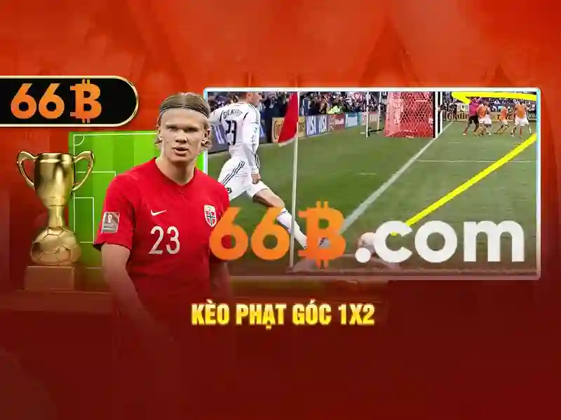 Kiến trúc và đòn bẩy của 66B