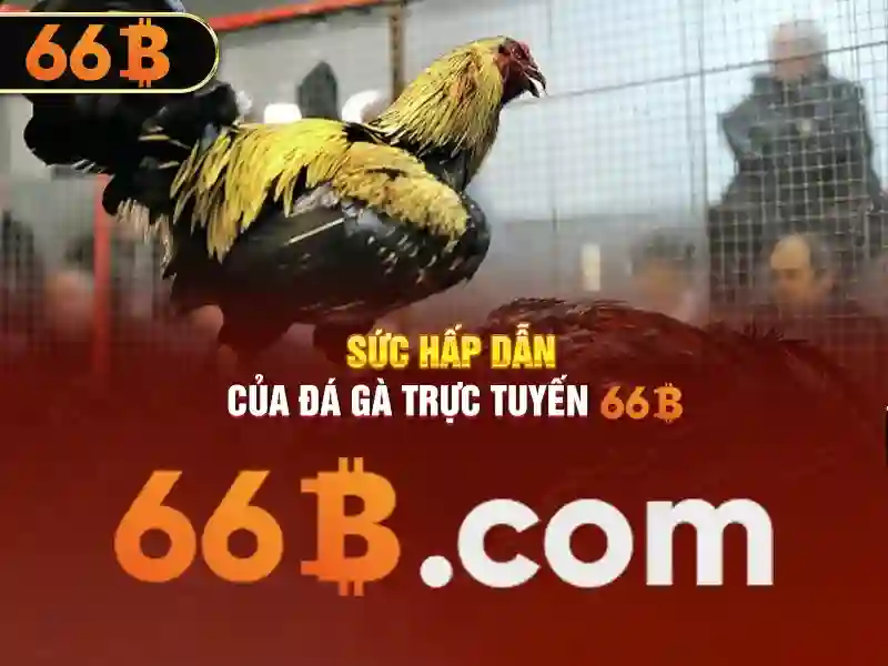 Sản phẩm và dịch vụ cốt lõi: 66b-nss ứng dụng thực tế