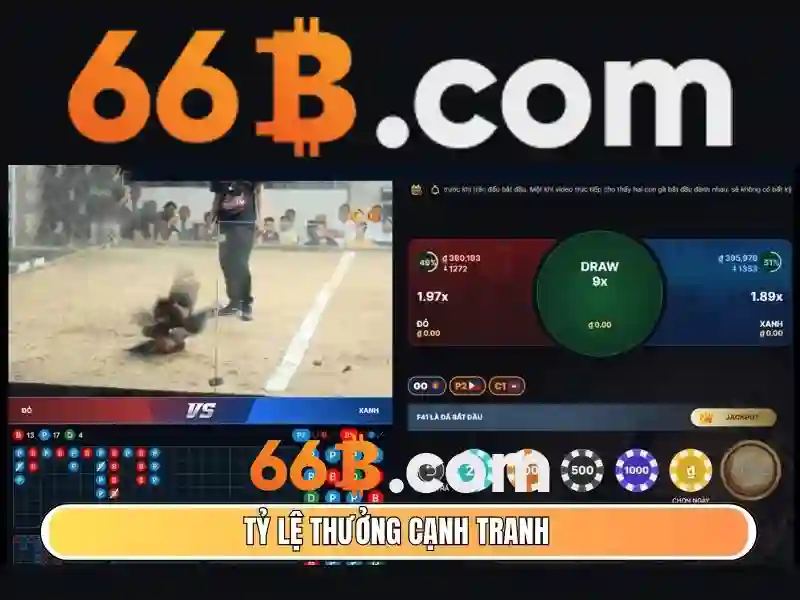 phỏm 66b – Tổng quan và trải nghiệm đỉnh cao