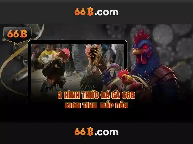 Phản hồi người dùng từ cộng đồng