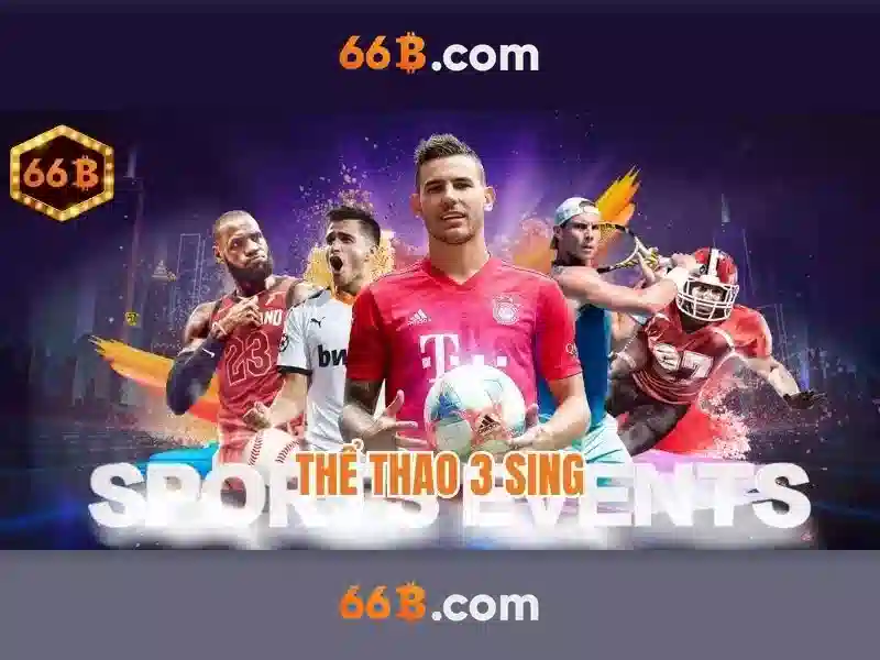 Trải nghiệm người dùng và phản hồi từ cộng đồng