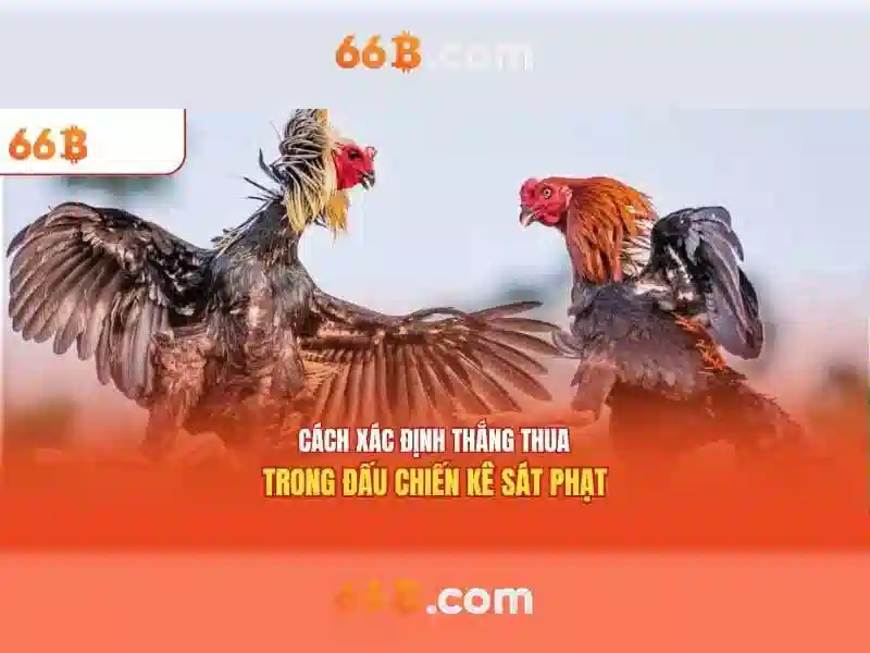 Vấn đề đạo đức và an toàn khi làm việc với 66B