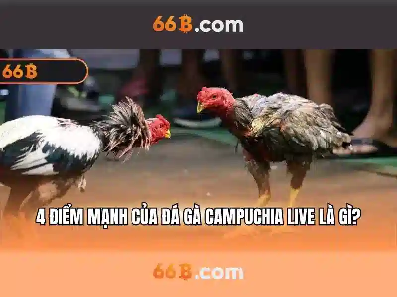 Tổng quan về giá trị của cờ vua 66b