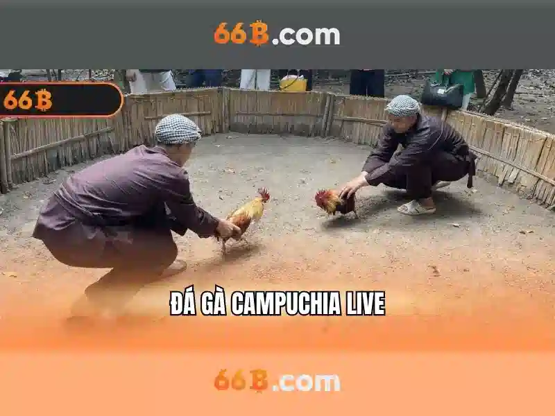 66B là gì và những ứng dụng tiềm năng