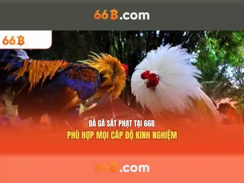 Sản phẩm và dịch vụ cốt lõi: ứng dụng thực tế