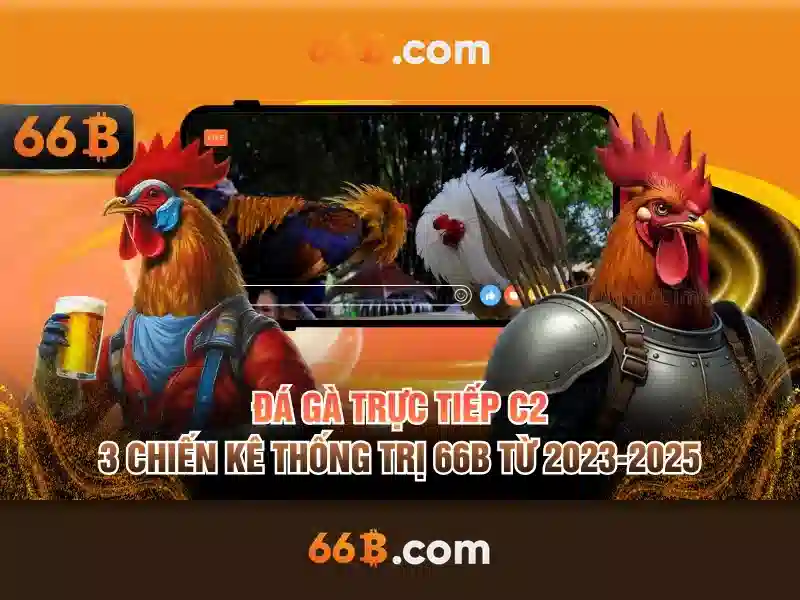 Ứng dụng và cơ hội