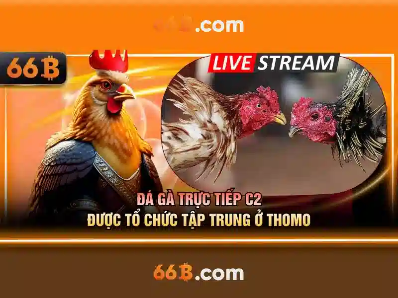 66b . com – Tổng quan chủ đề và giá trị cốt lõi