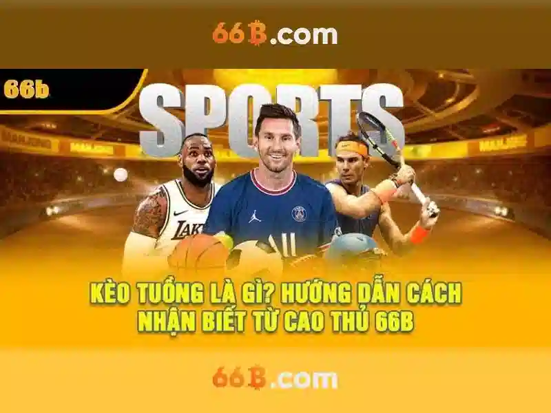 dpt20-66b: Khám phá giá trị và trải nghiệm