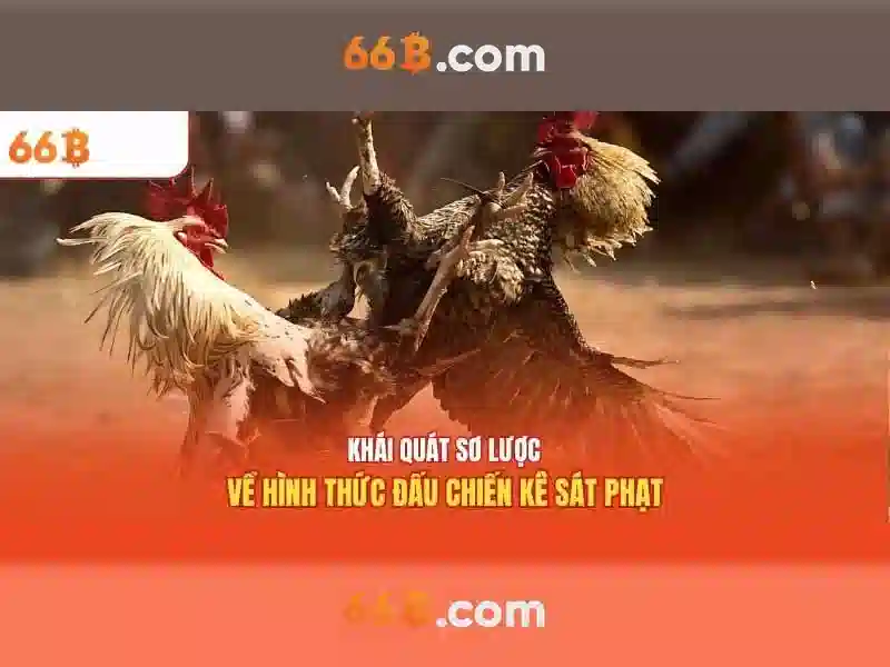 Hiệu suất và mức tiêu thụ