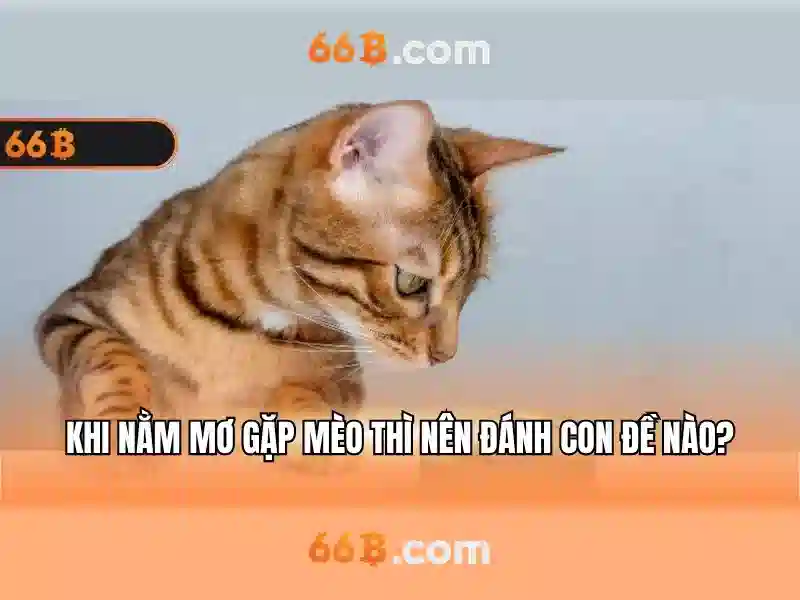 Lịch sử và nguồn gốc của 66b