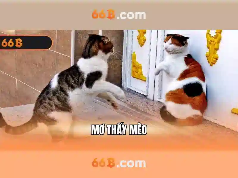 Khái niệm về 66b