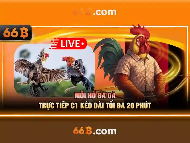 Khái niệm cơ bản về 66B