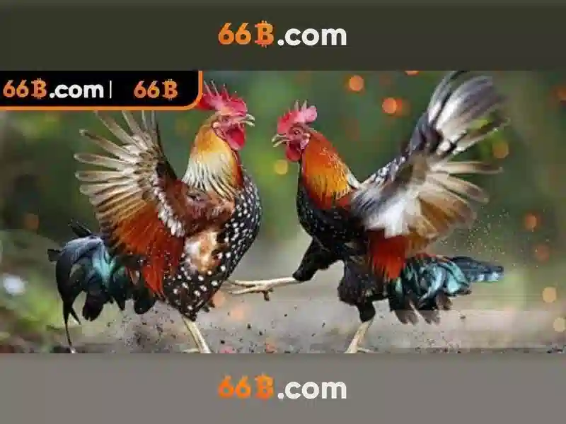Thách thức và đạo đức liên quan tới 66B