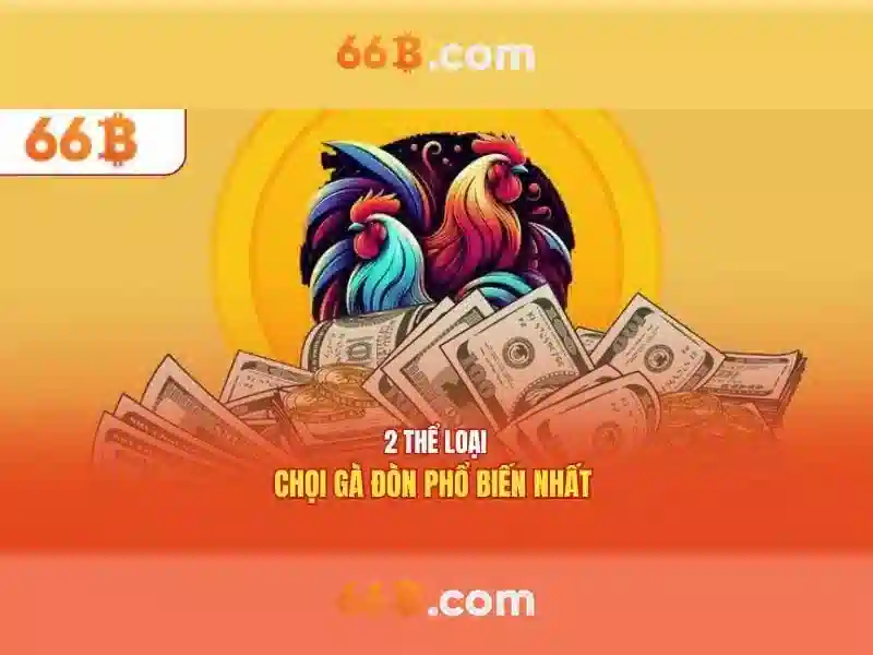 66b: một khái niệm mở trong công nghệ và sáng tạo