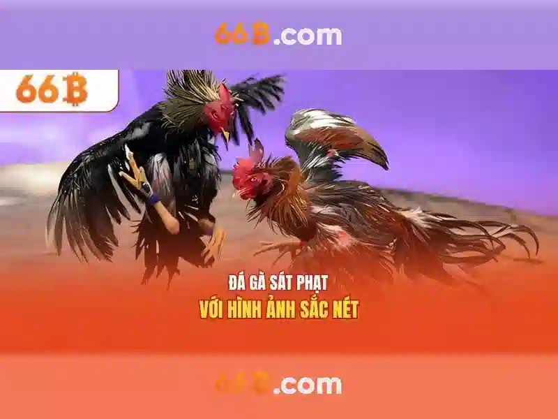 66b: Khái niệm và ứng dụng trong thế giới số
