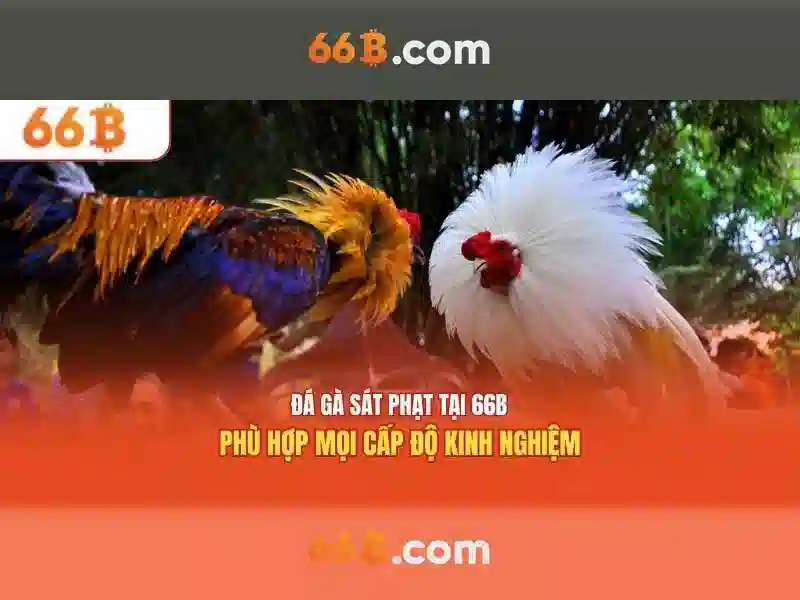 Cấu trúc và tham số