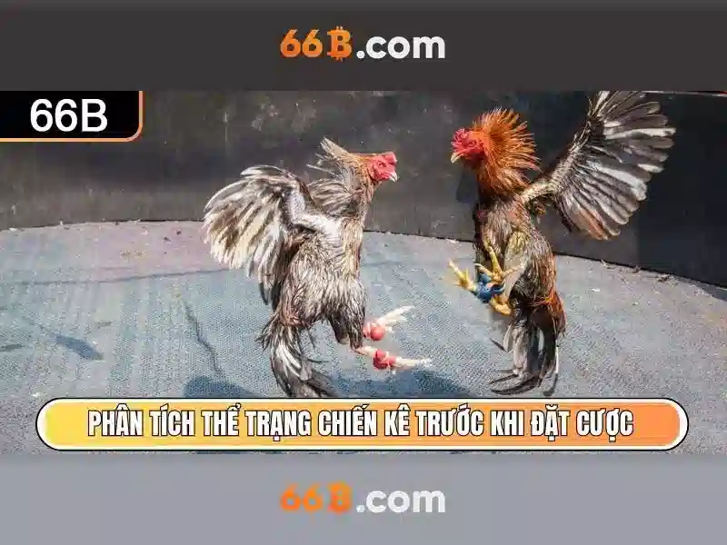Ứng dụng tiềm năng của 66B trong doanh nghiệp