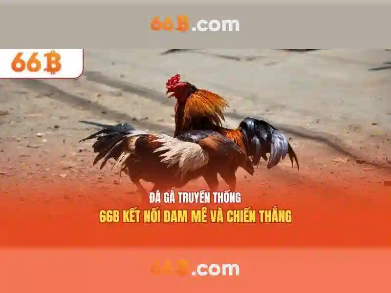 66b là gì và nguồn gốc của nó