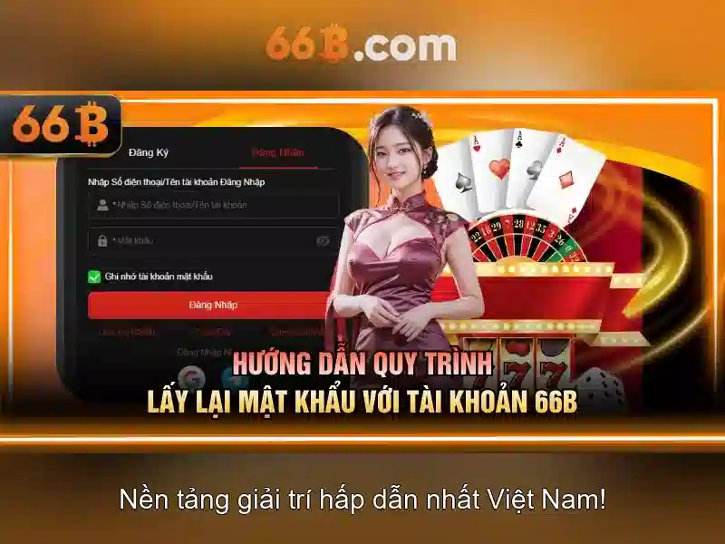 66B là gì?