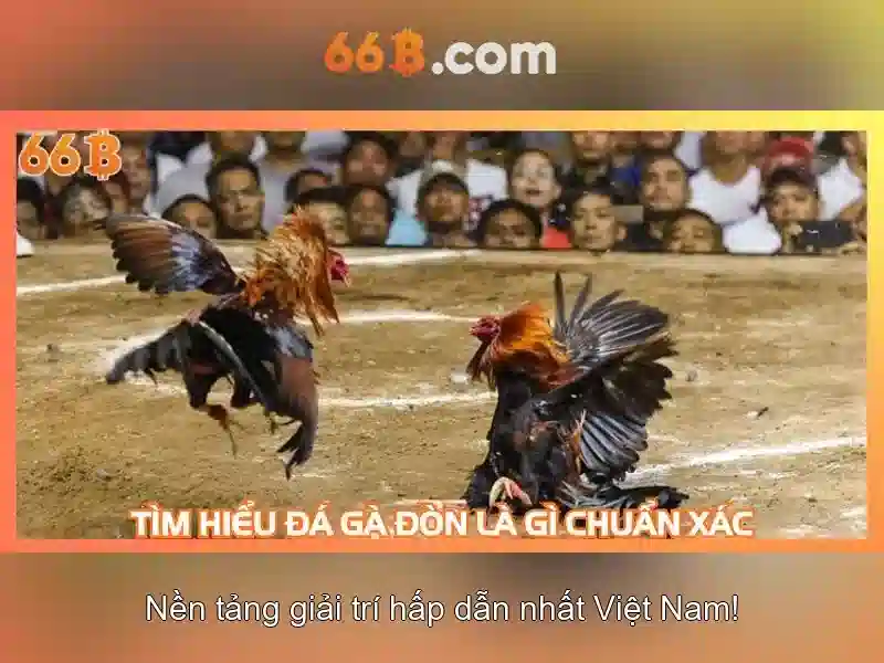 66b trong văn hóa và cộng đồng\n<p><span style=