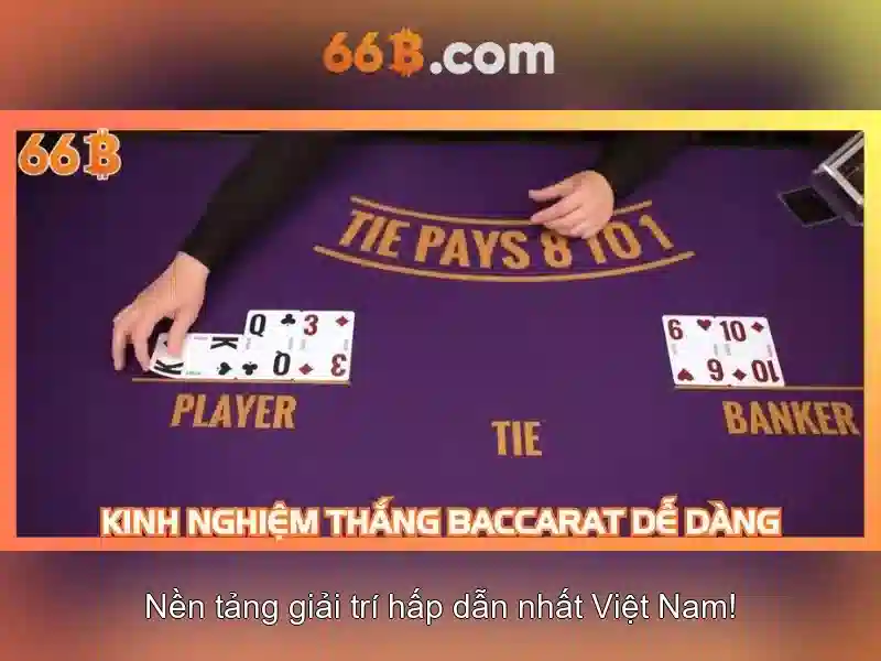 66B: Khám phá mô hình ngôn ngữ 66 tỉ tham số