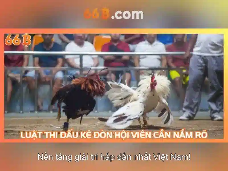 Ứng dụng tiềm năng của 66b trong các ngành