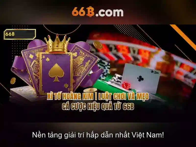 Lập trình và tối ưu hóa