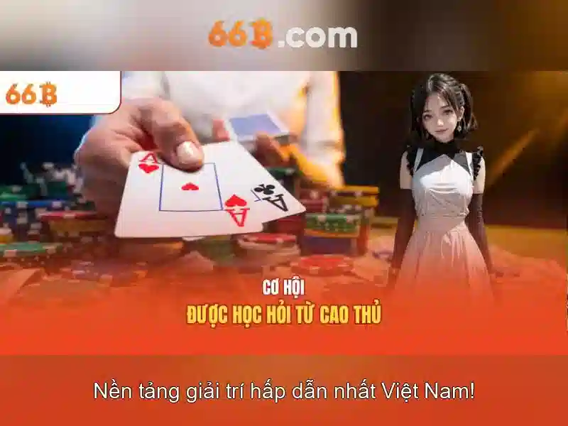 66B là gì?