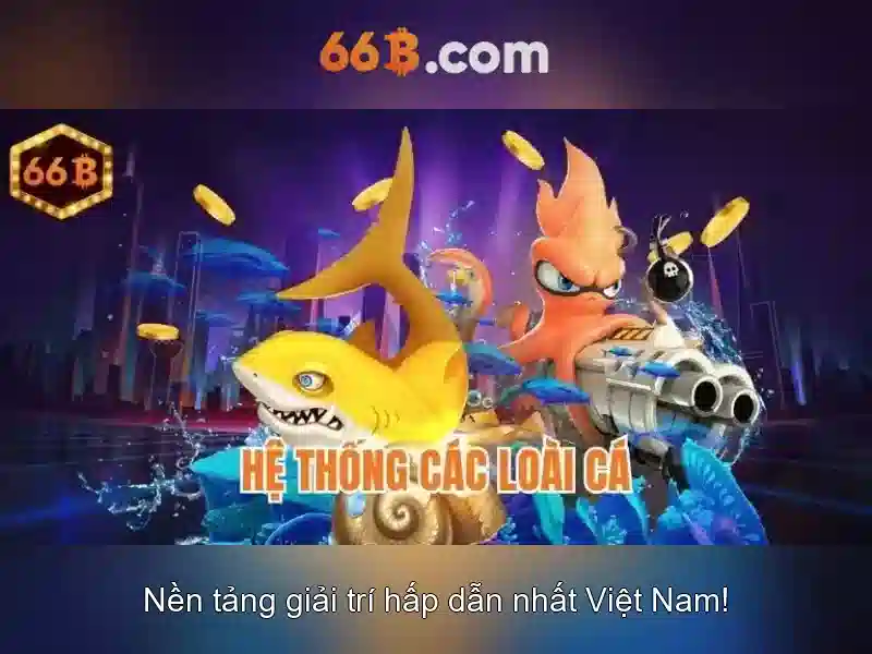 Giới thiệu về 66B
