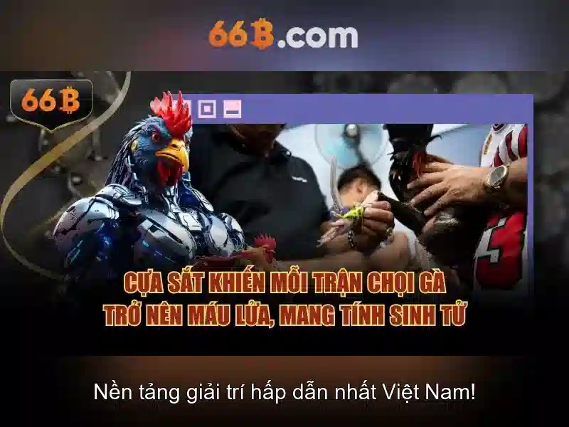 'Cách bắt đầu tìm hiểu 66b'