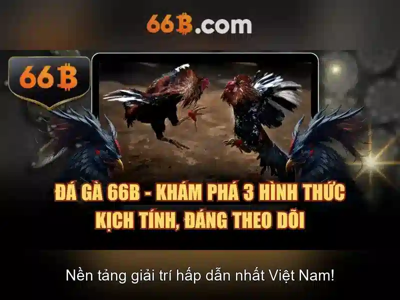 66B là gì?