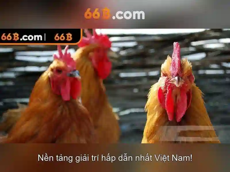 66B là gì và vai trò của nó trong trí tuệ nhân tạo