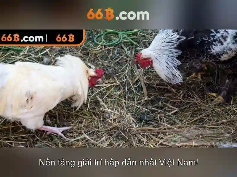66B: Mô hình ngôn ngữ quy mô lớn 66 tỷ tham số