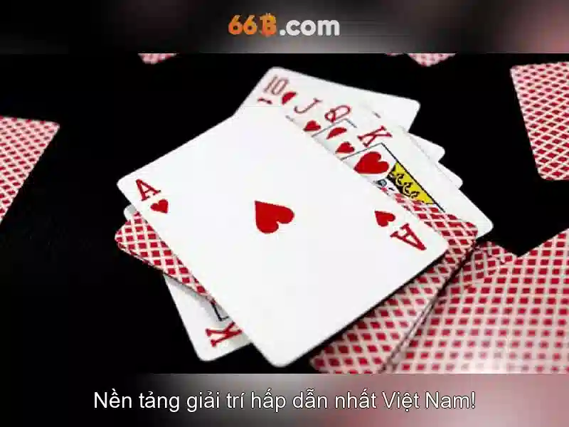 66b và sự lan tỏa trong dữ liệu