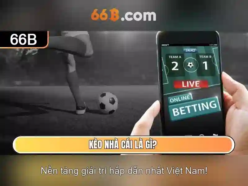 Mô hình 66B: Tìm hiểu về một mô hình ngôn ngữ quy mô lớn