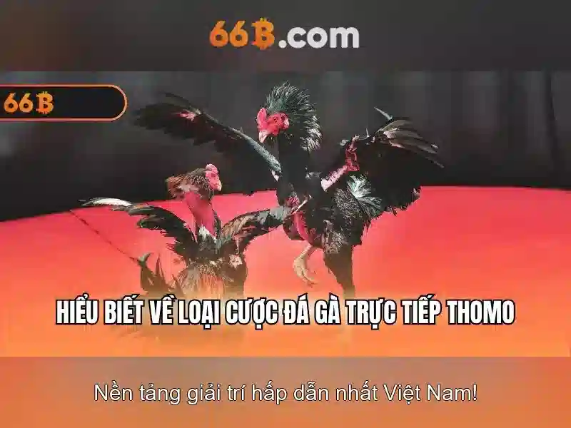 Mẹo chơi bắn cá 3 cây dễ ăn tiền nhà cái