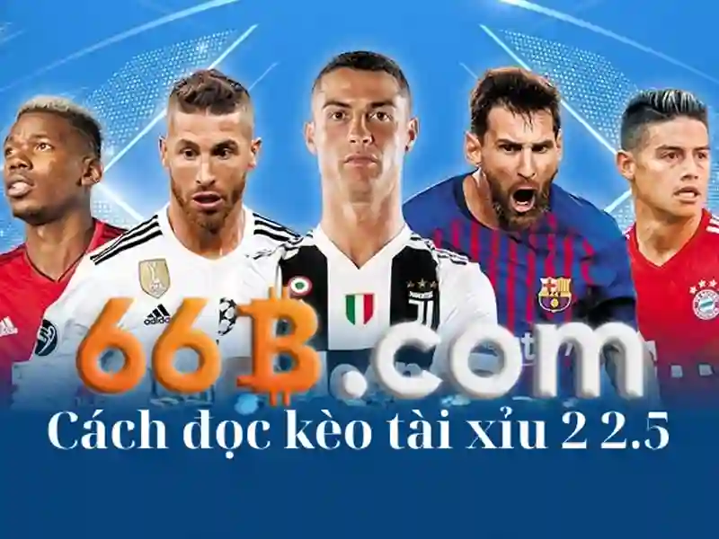 66b nss – chủ đề tổng quan và giá trị cốt lõi