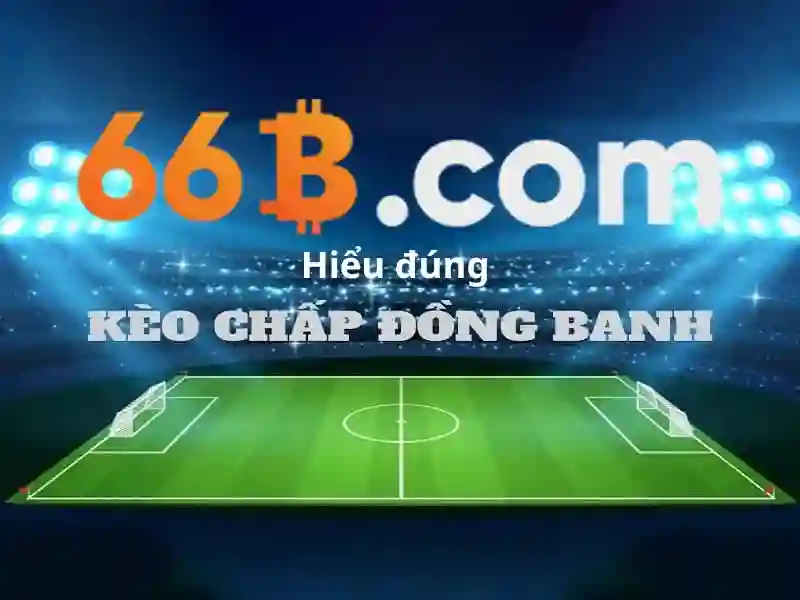 Những đặc điểm nổi bật