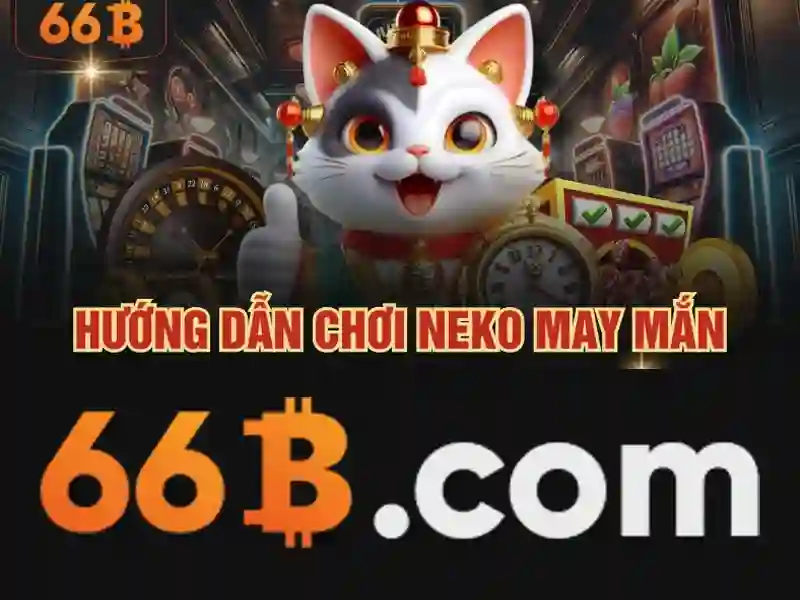66b nss - Tổng quan và giá trị cốt lõi