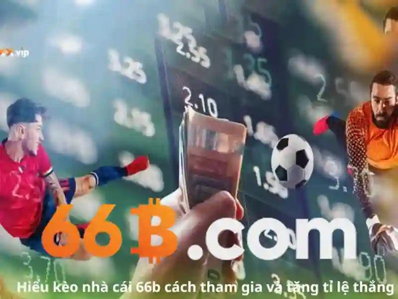 66B là gì