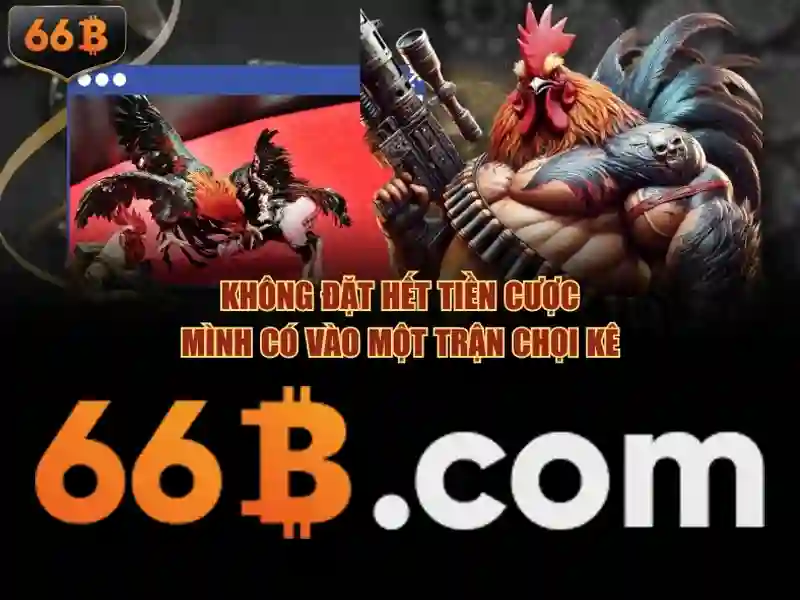 khuyến mãi 66b – Tổng quan chủ đề và giá trị cốt lõi