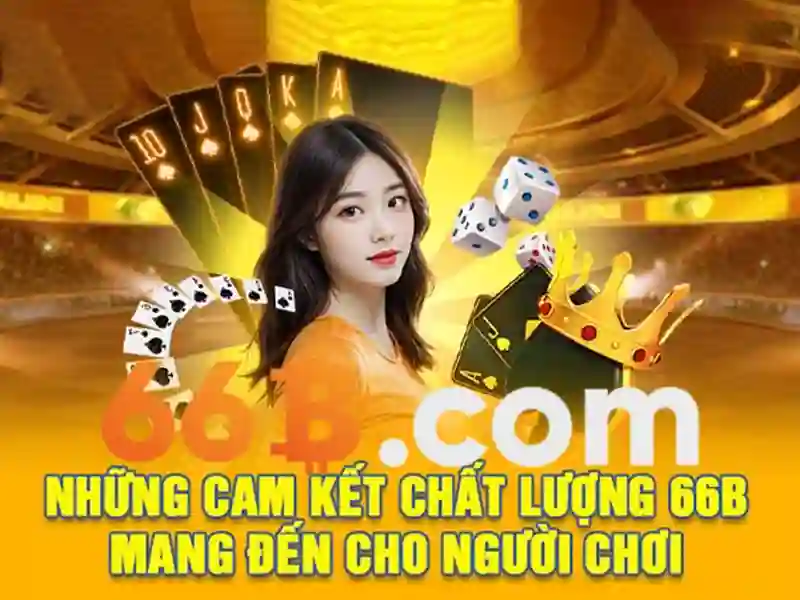 Trải nghiệm người dùng và phản hồi từ cộng đồng