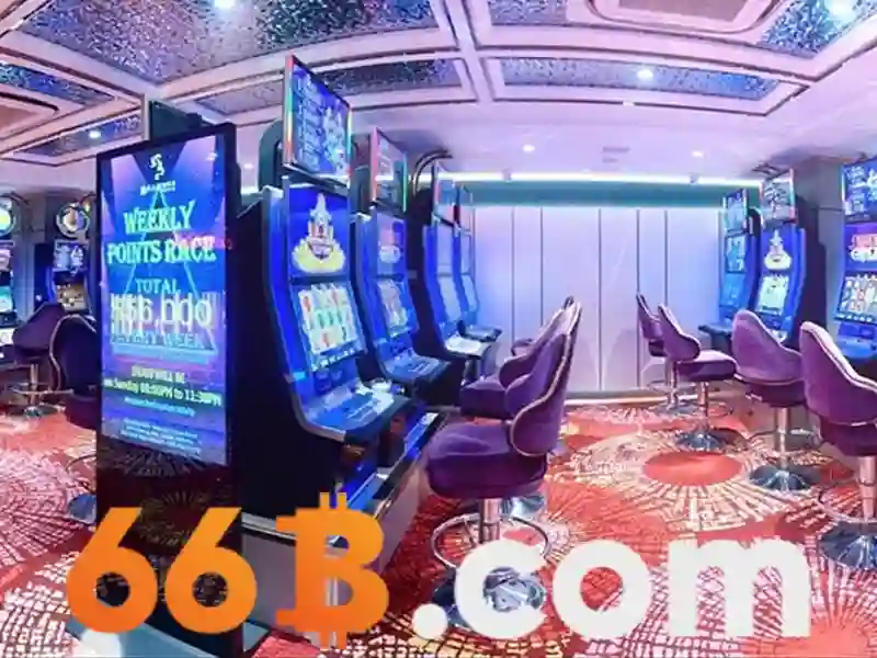 Sản phẩm và dịch vụ chính: ứng dụng thực tế của 66b bet com