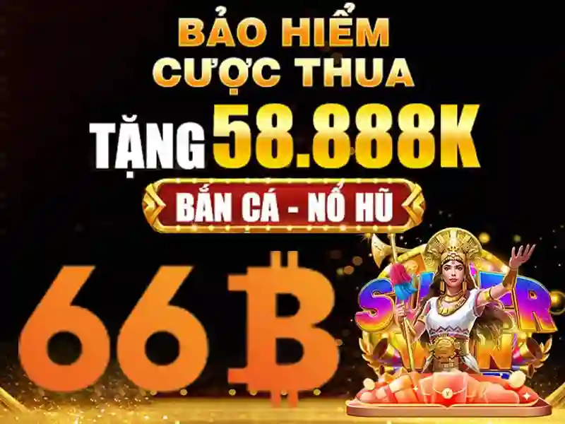 66B là gì và tại sao nó nổi bật