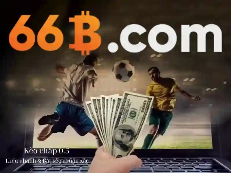 66b con: Định vị thương hiệu và hành trình đổi mới