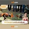 66B: Khai phóng tiềm năng của mô hình ngôn ngữ 66 tỷ tham số