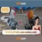 66B: Mô hình ngôn ngữ 66 tỷ tham số và những ảnh hưởng của nó