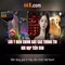 66B: Khám phá Mô hình ngôn ngữ 66 tỷ tham số