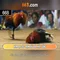 66b: một khái niệm công nghệ và tiềm năng